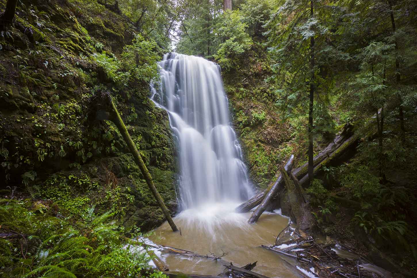 Berry Creek Falls.Berryクリーク・フォールズのトレイル。 Big Basin Redwoods State Park