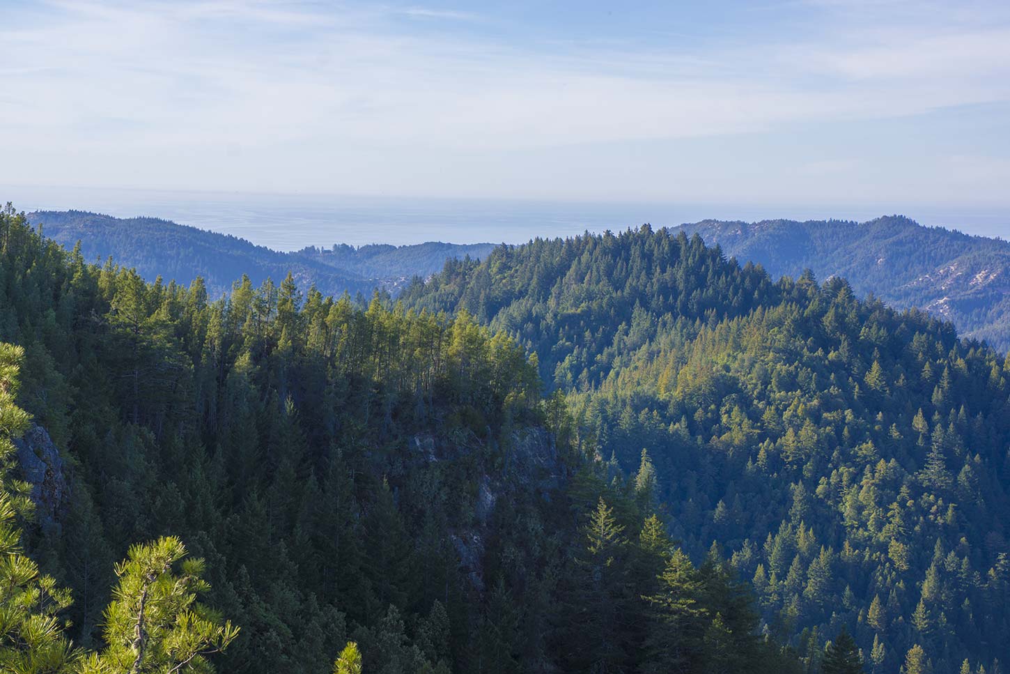 View of Big Basin from Buzzard’s Roost, Big Basin Redwoods State Park