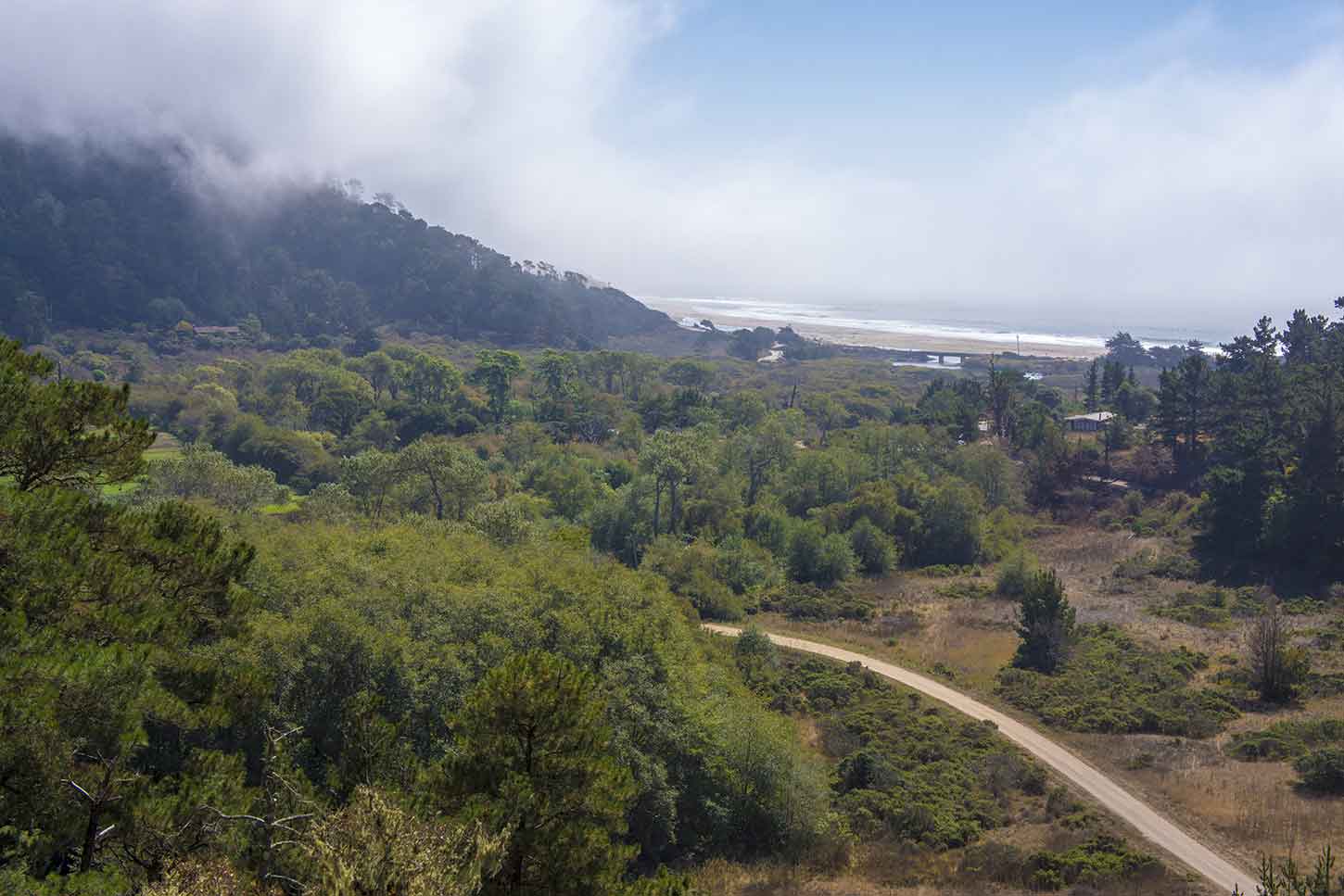 View from the Skyline-to-the-Sea Trail near Wadell Beach