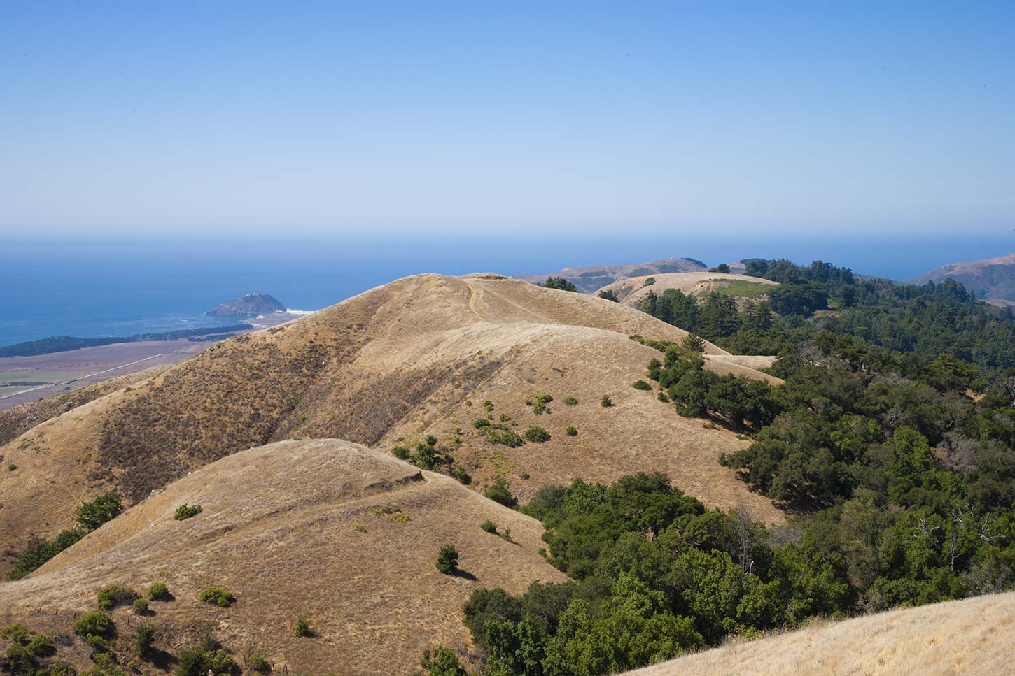 View from the East Molera Trail in Andrew Molera State Park, Big Sur