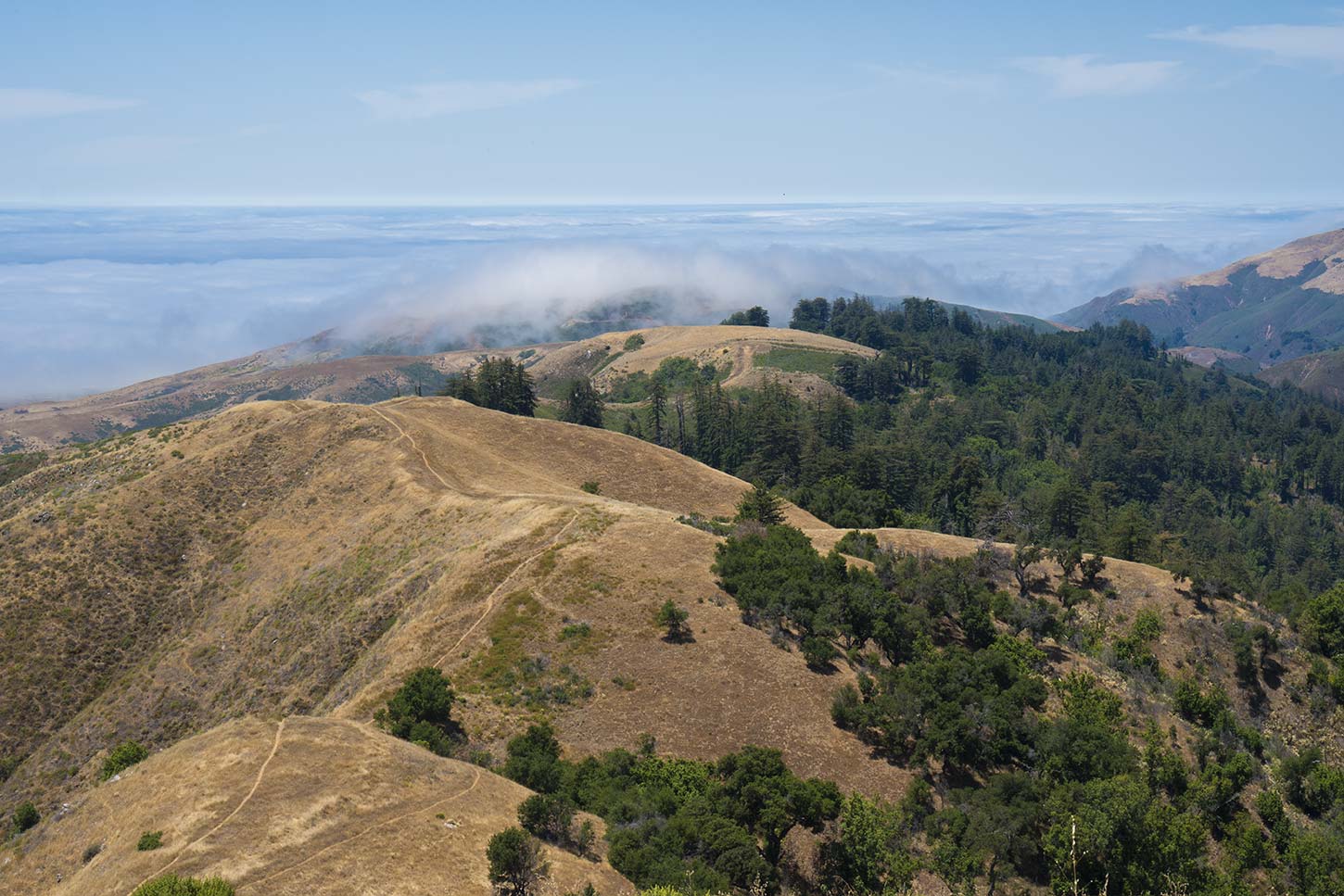 The unofficial extension of the East Molera Trail, Andrew Molera State Park, Big Sur