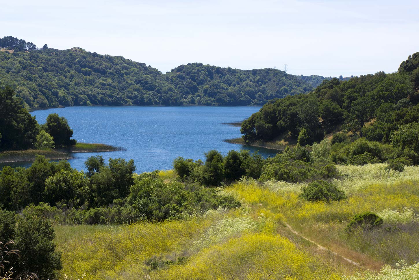 The Oursan Trail and Briones Reservoir