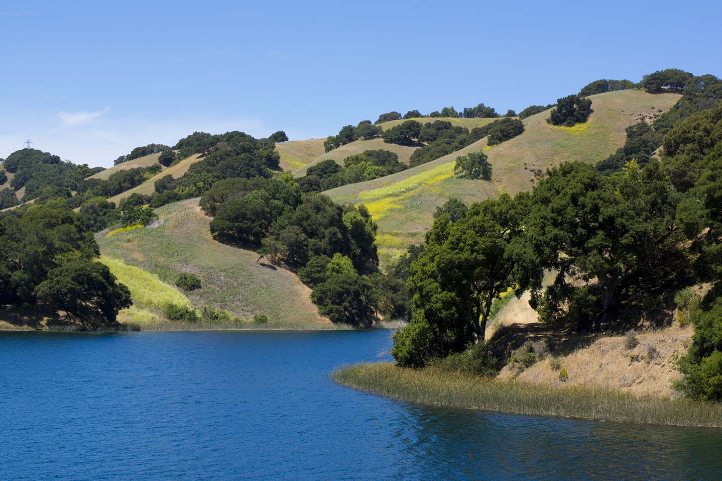 Briones Reservoir from the Bear Creek Trail