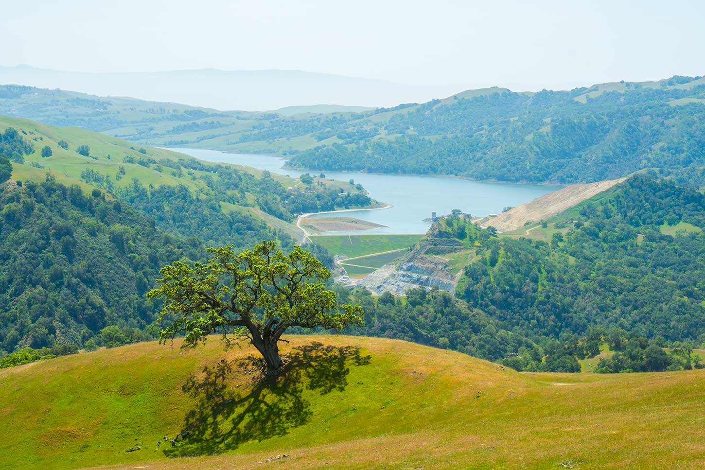 Cave Rocks Road, Sunol Regional Wilderness