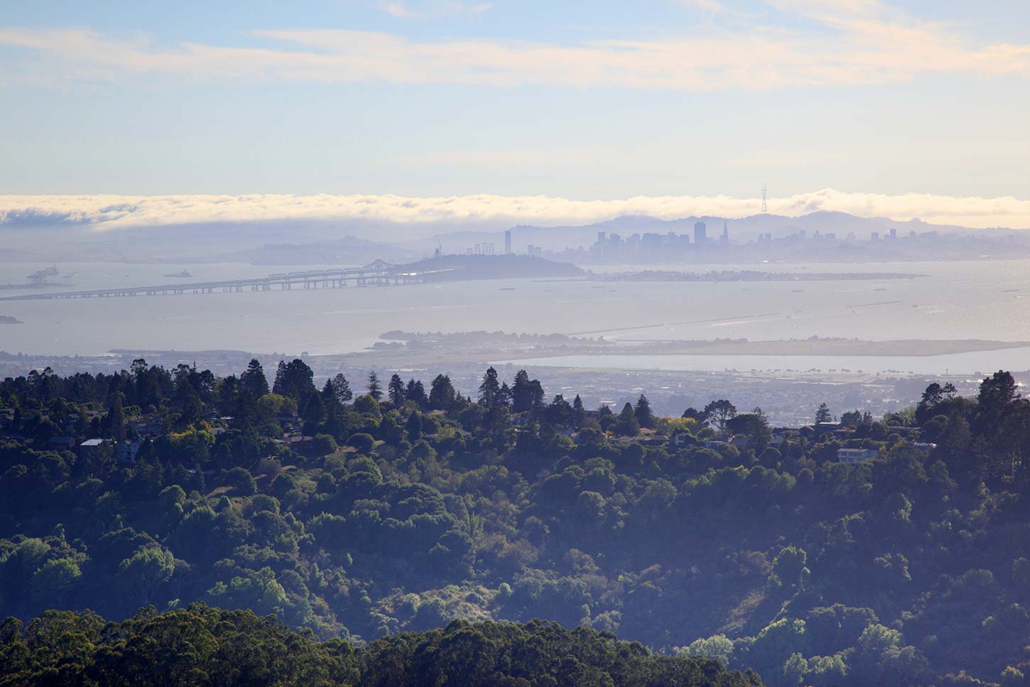 View of San Francisco from Wild Cat Peak, a hiking destination near Oakland, California. 