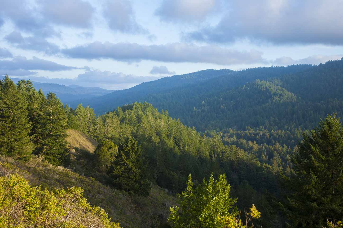 View of Mount Ellen in Memorial County Park