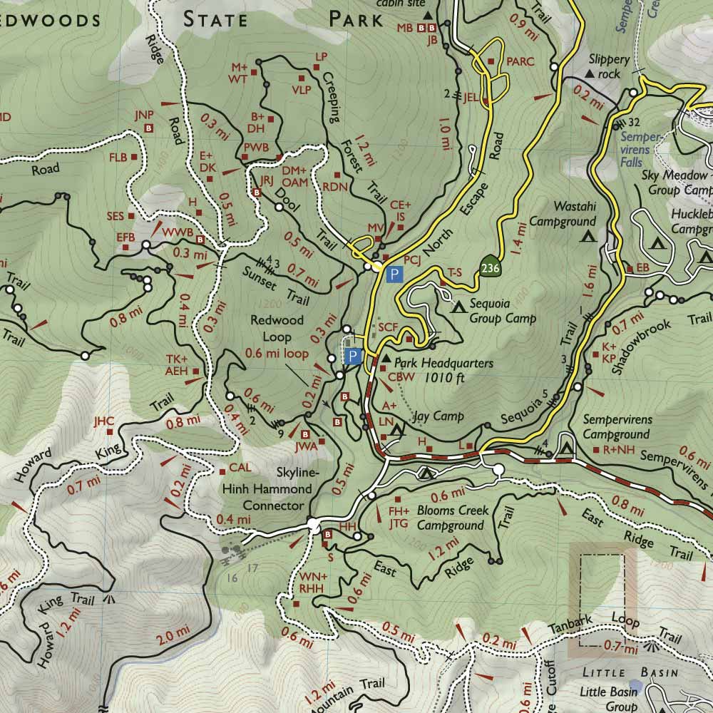 Bay Area Trail Map Big Basin And Castle Rock