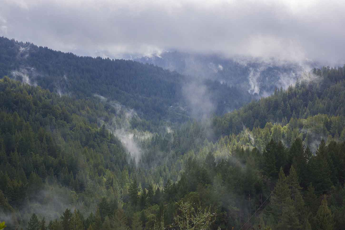 The Travertine Springs Trail