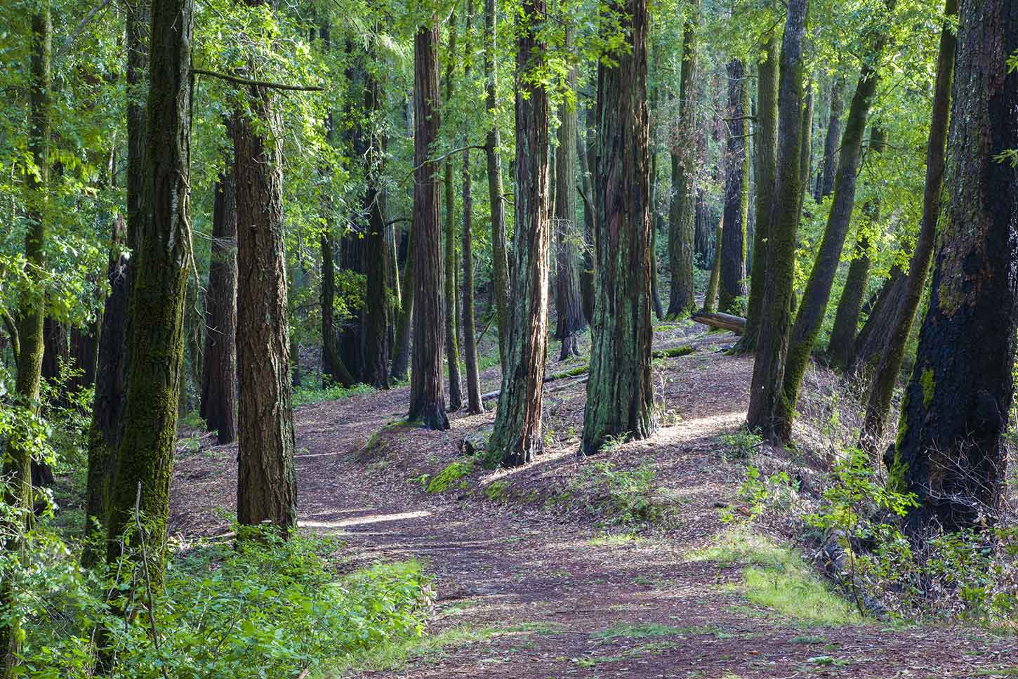 The Sunset-Skyline Short Loop