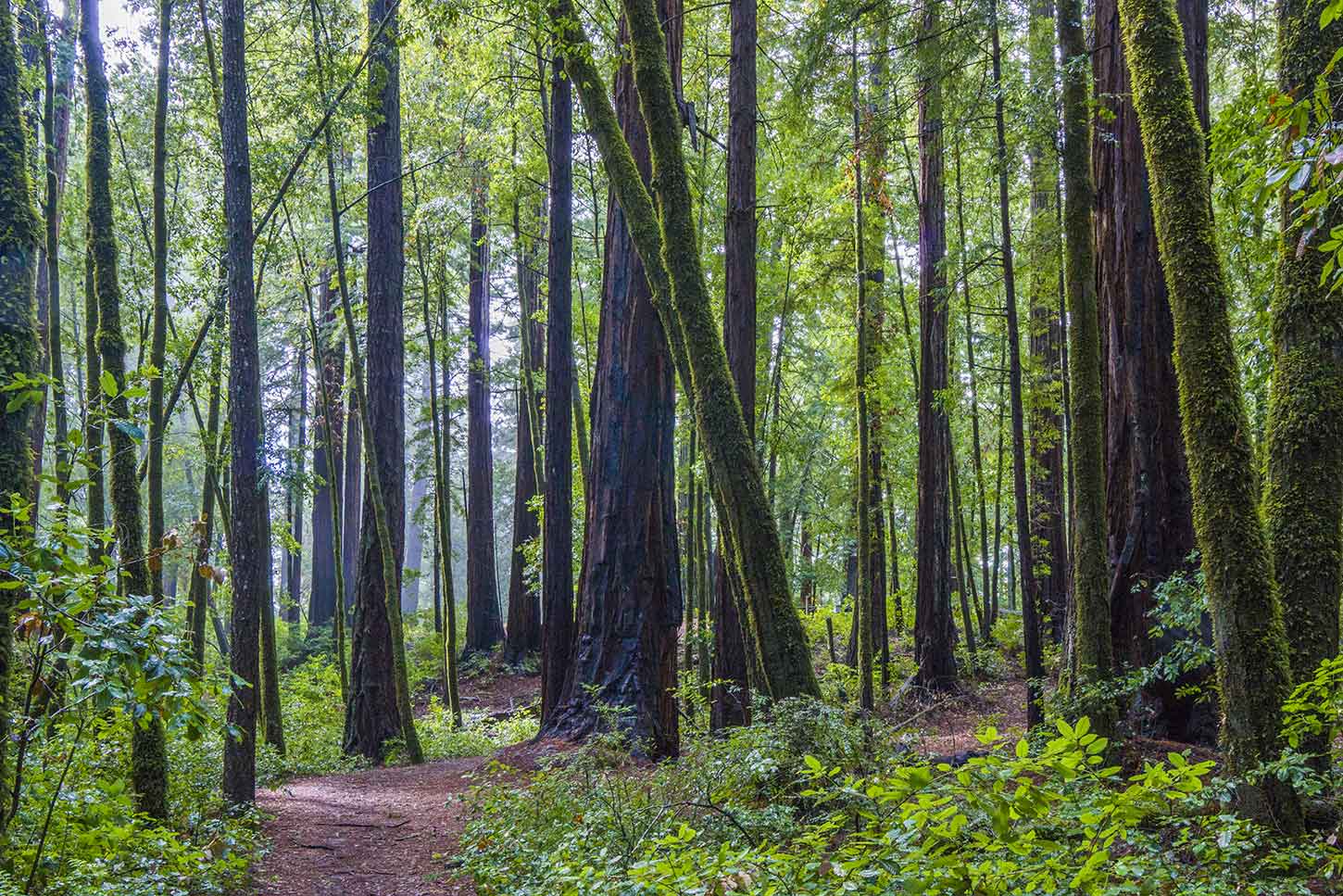 The Sunset-Skyline Short Loop