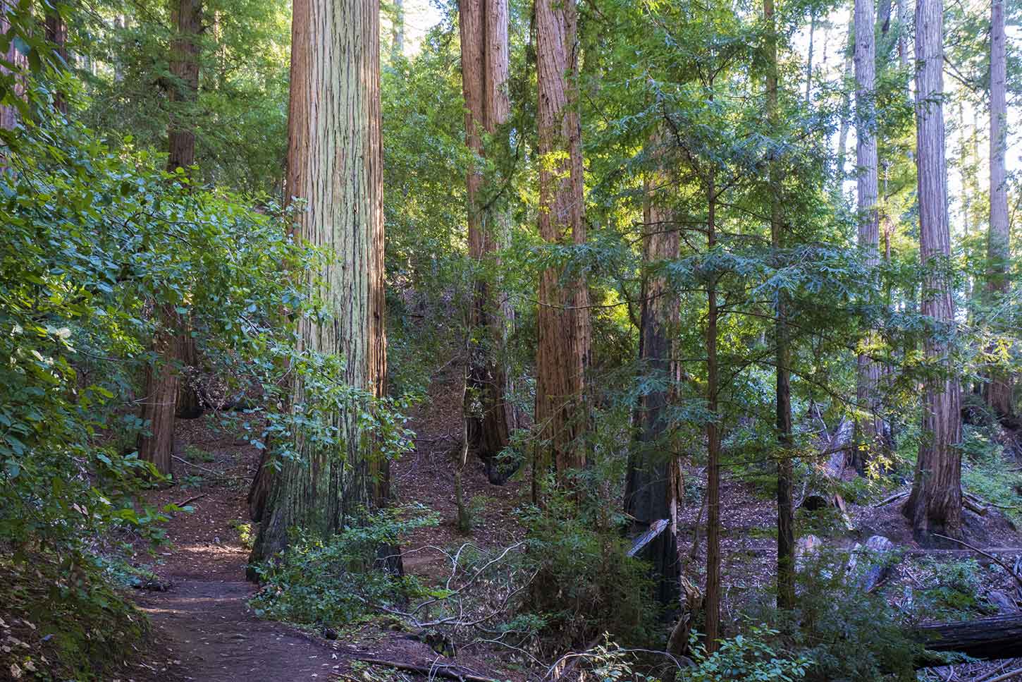 The Sunset-Skyline Short Loop