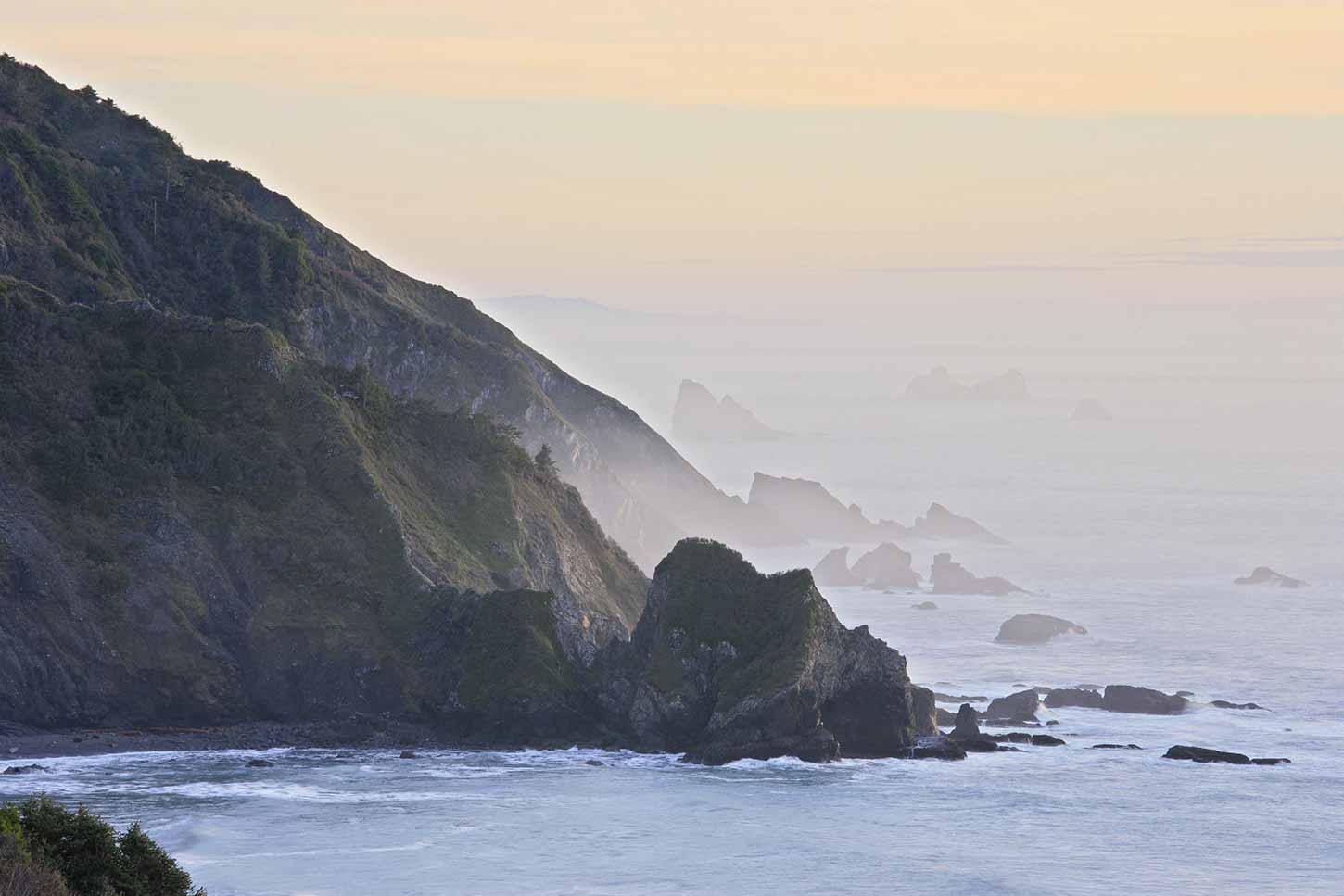 Del Norte Coast Redwoods SP