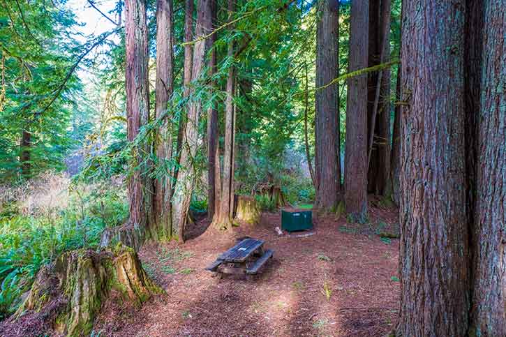 Del Norte Coast Redwoods SP