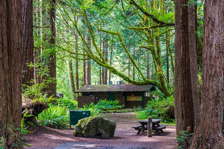 Del Norte Coast Redwoods SP