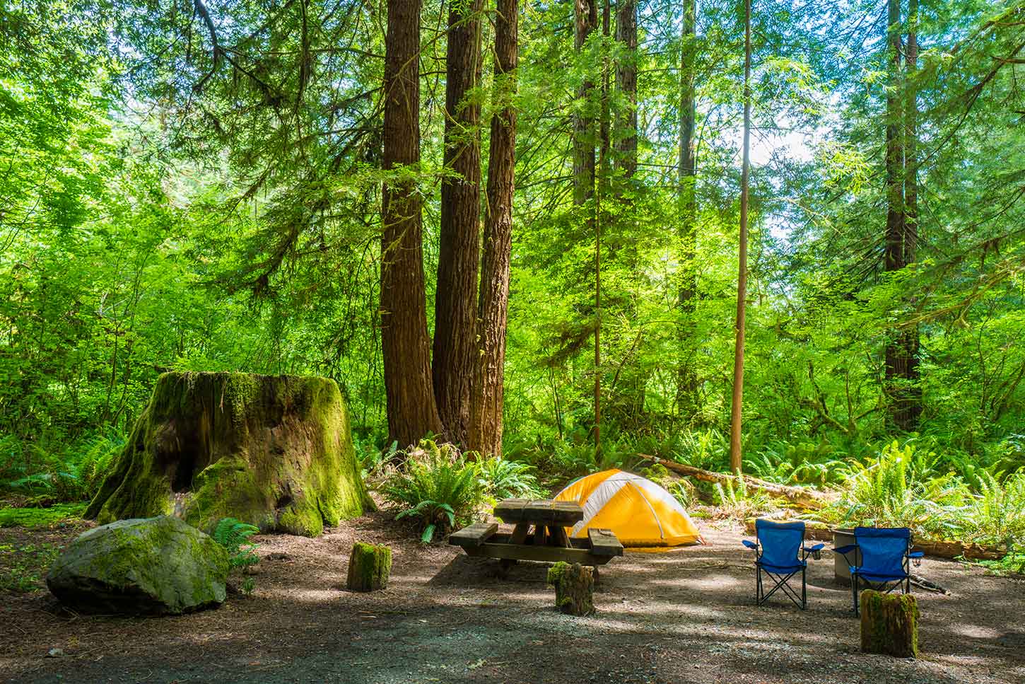 Escape to Oregon's Emerald Gem: Mill Creek Campground Adventure