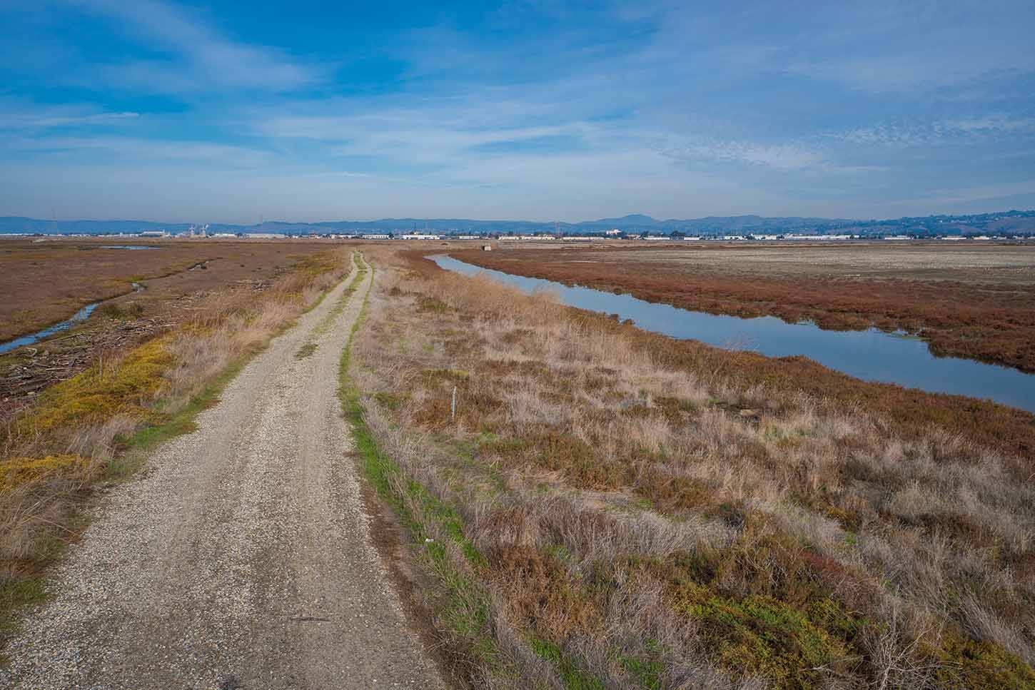 Eden Landing Ecological Reserve