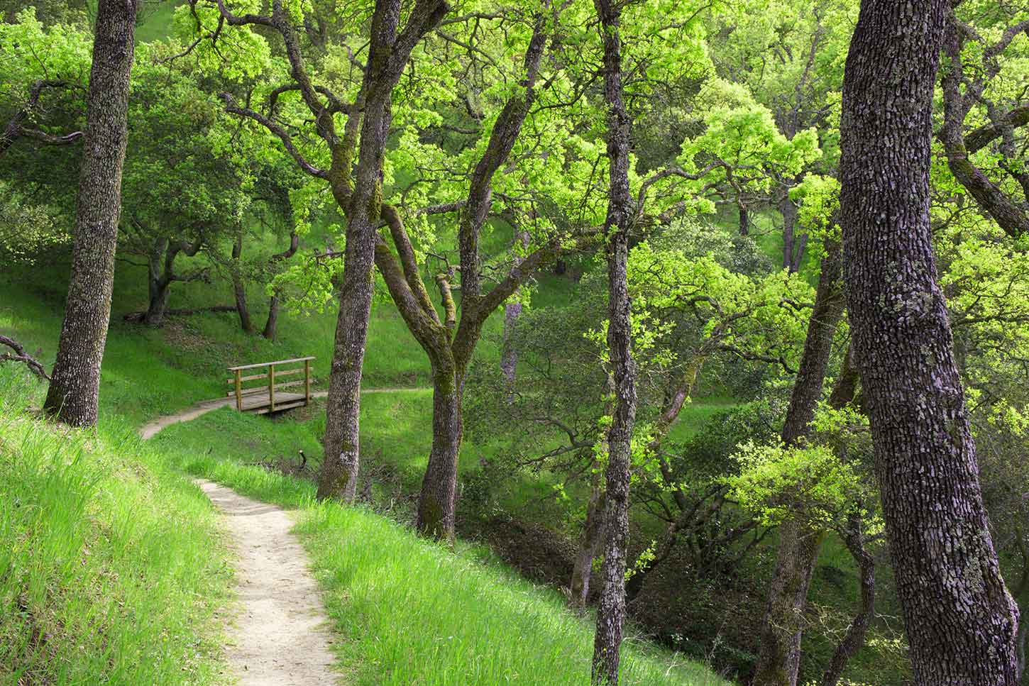 John Muir Nature Trail, John Muir National Historic Site, Mount Wanda