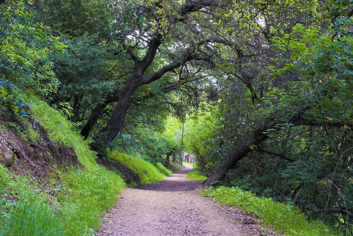 Fire Road, John Muir National Historic Site, Mount Wanda
