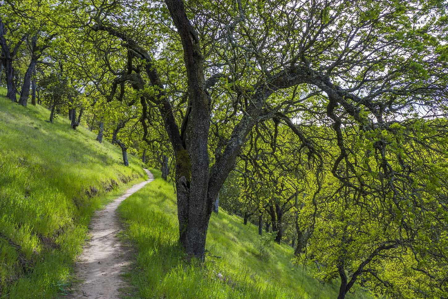 John Muir Nature Trail, John Muir National Historic Site, Mount Wanda