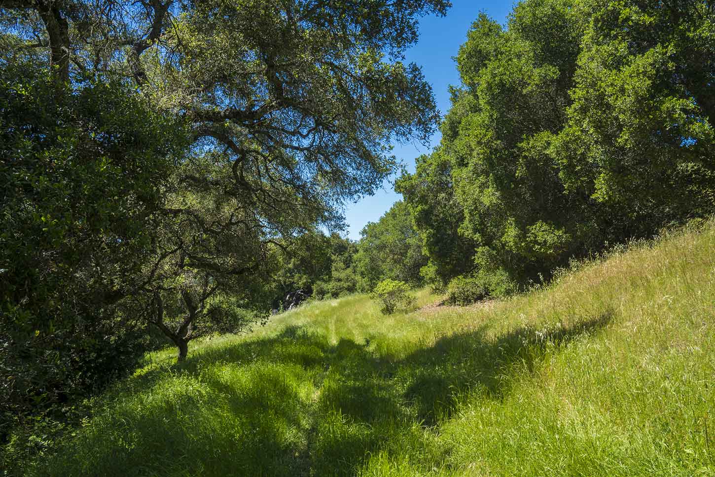 The Rocky Ridge Loop Trail