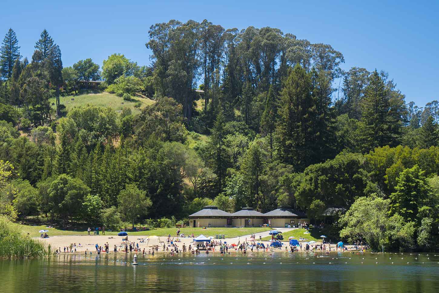 Tilden and wildcat canyon regional parks
