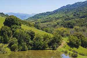 Pleasanton Ridge Regional Park