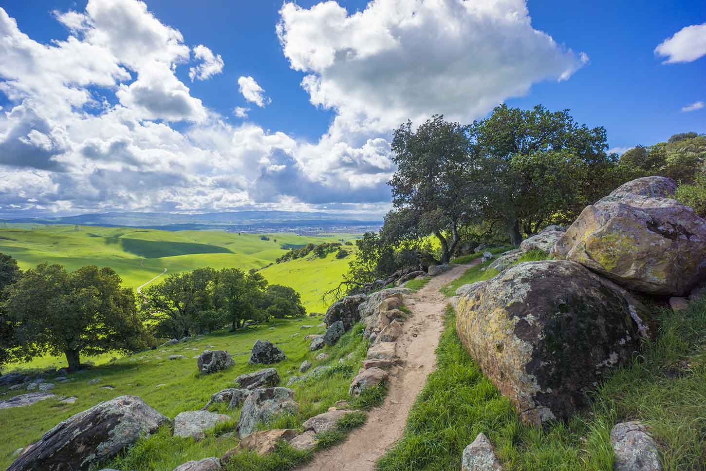 Brushy Peak Regional Preserve