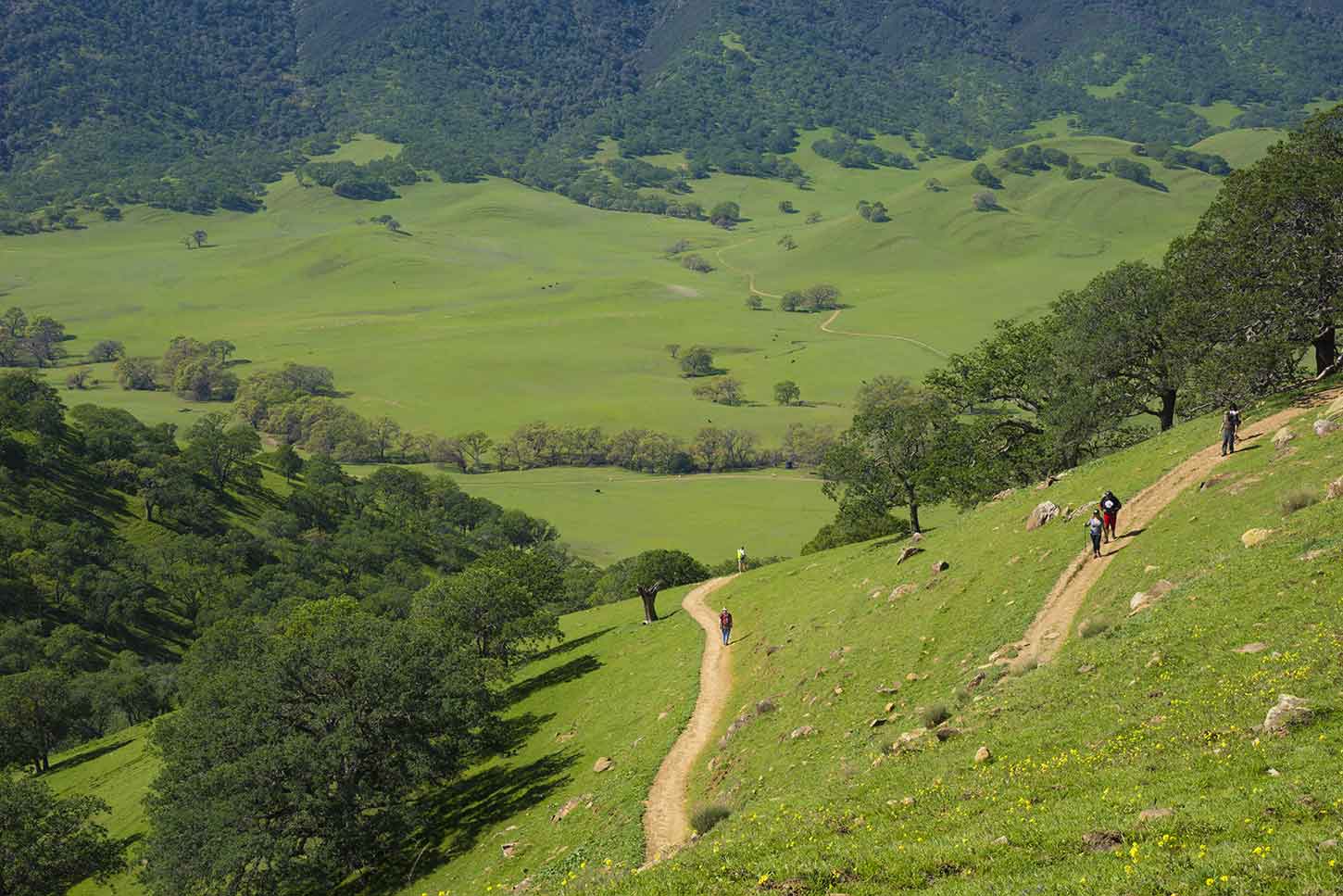 Round Valley Regional Preserve