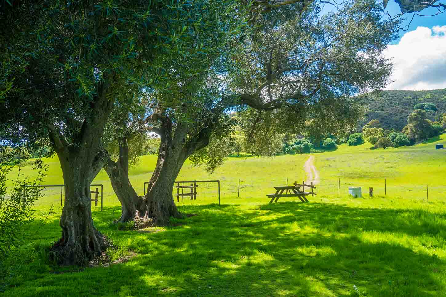 Stewartville Backpack Camp