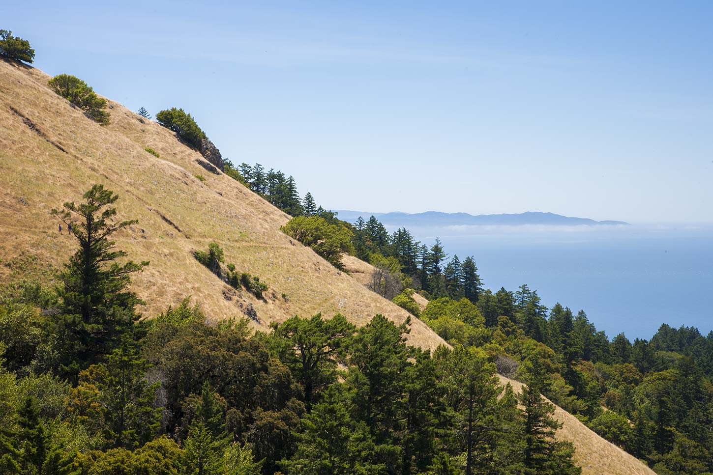Willow Camp and Steep Ravine