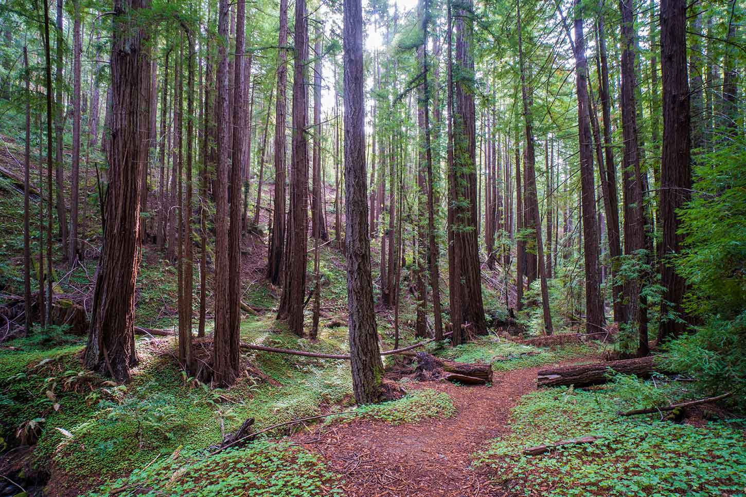 The Slate Creek Trail