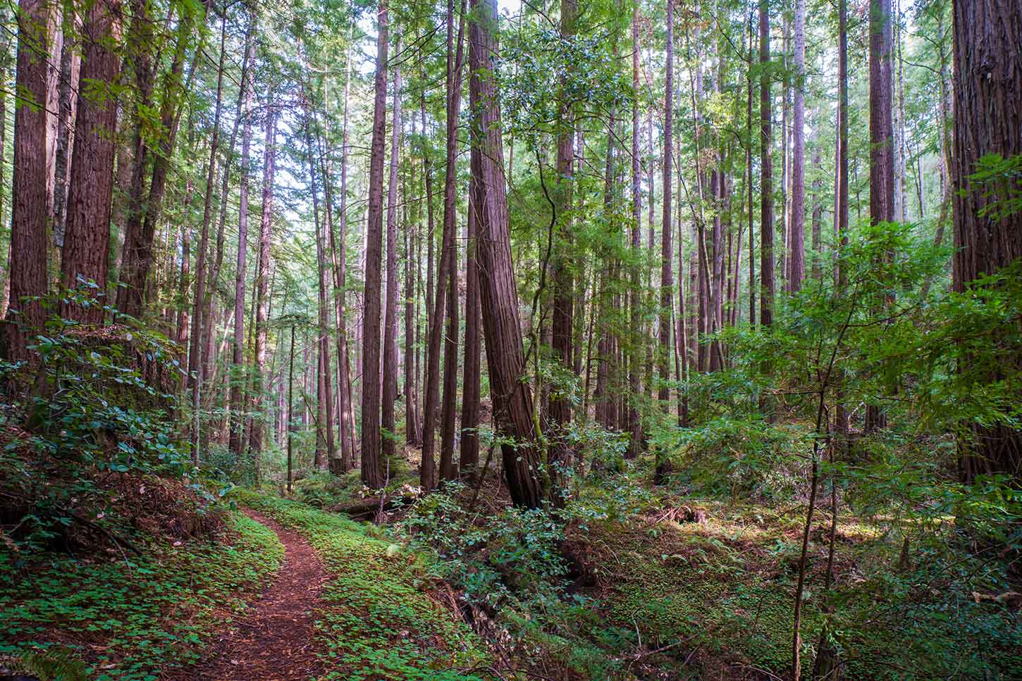The Slate Creek Trail