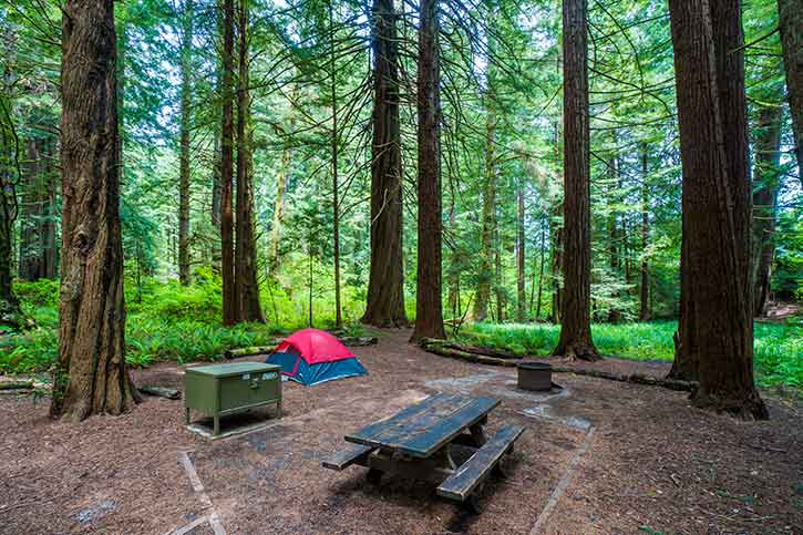 Elk prairie campground deals