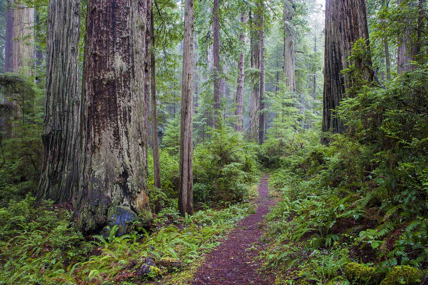 The Miners’ Ridge and James Irvine Loop