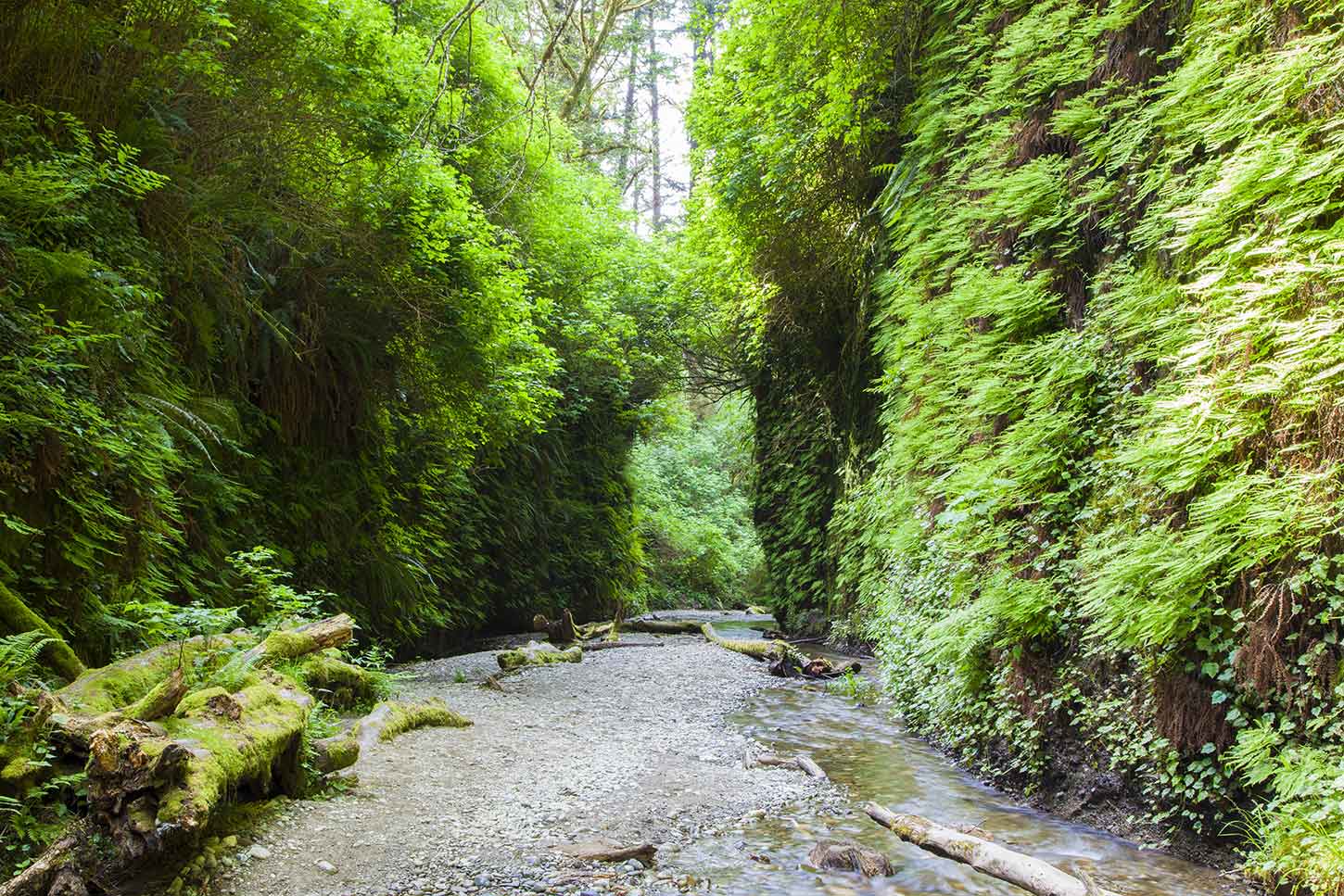 The Miners’ Ridge and James Irvine Loop
