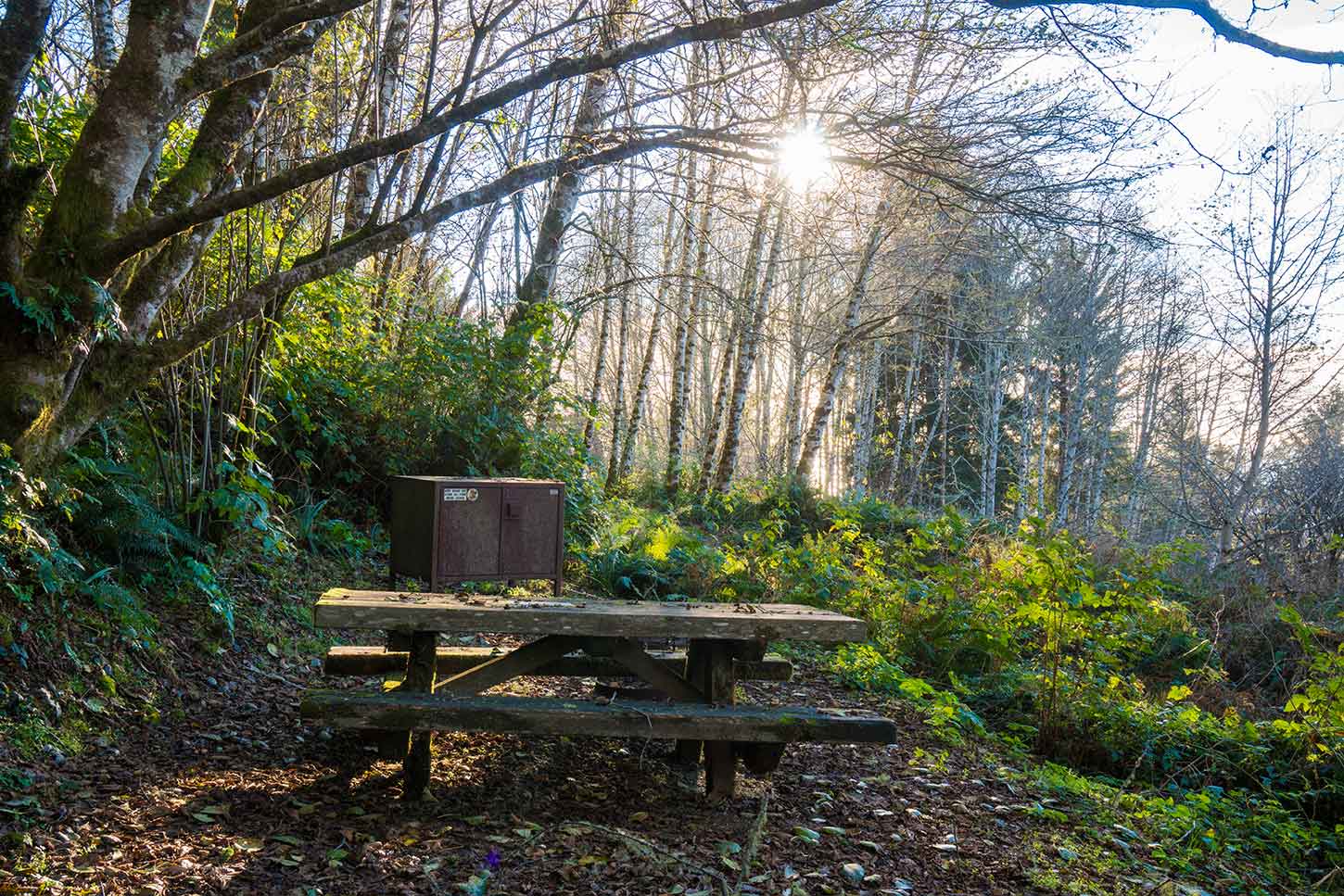 Flint Ridge Backcountry Camp