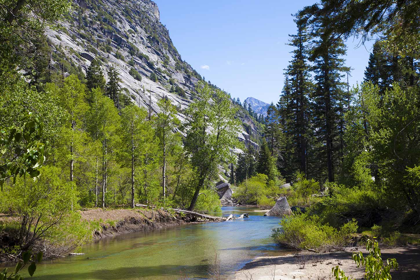 Paradise Falls, California