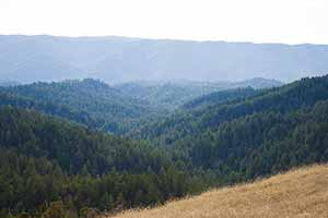 Skyline Ridge Region