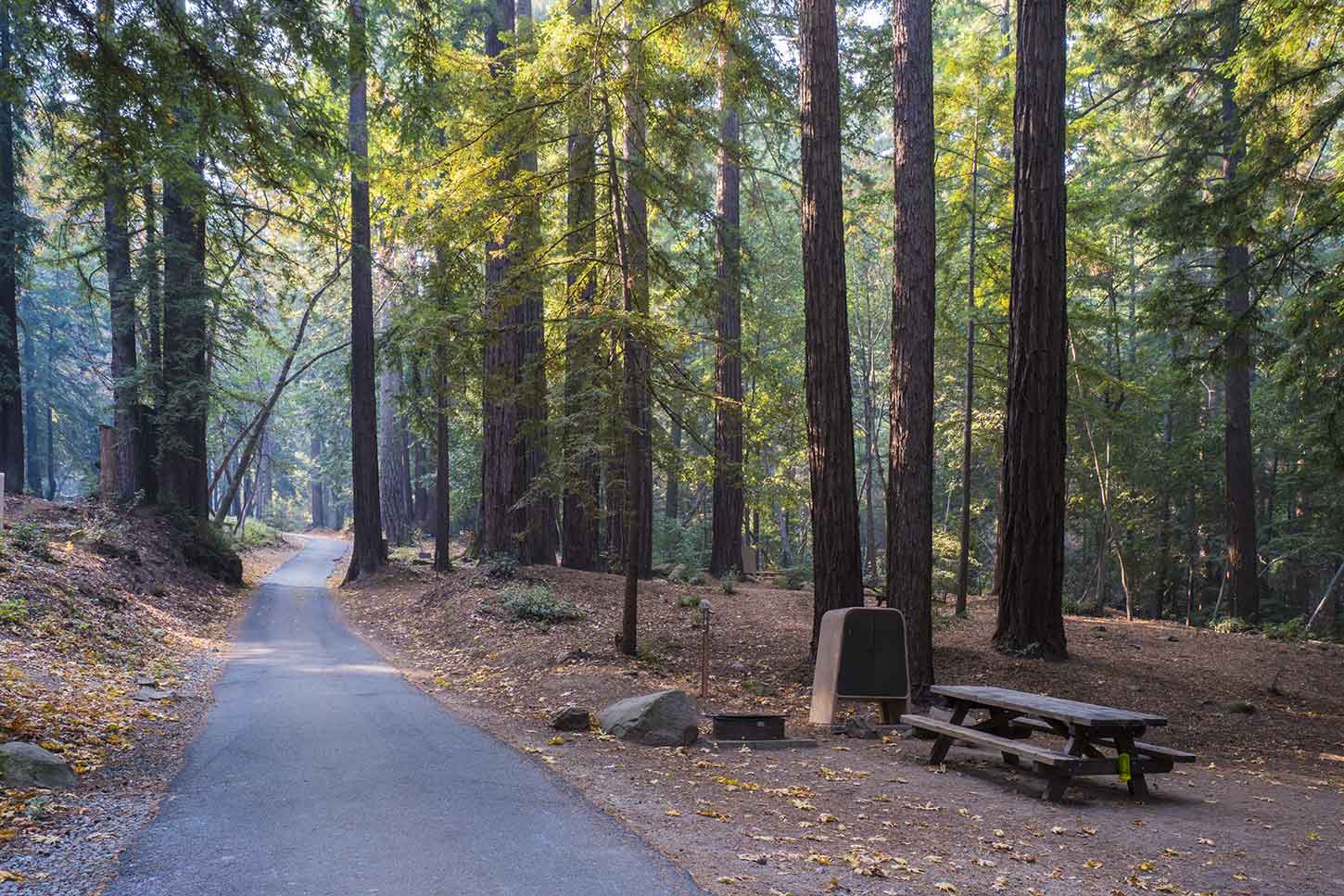 Sanborn Park Campground